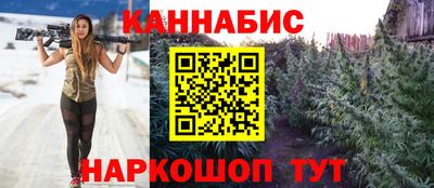 крисы Кандалакша
