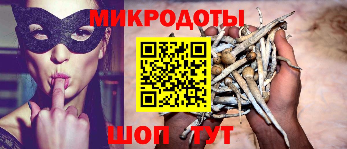 Тверь  Псилоцибиновые грибы Psilocybe  Вход с VPN  Псилоцибиновые грибы Psilocybe 